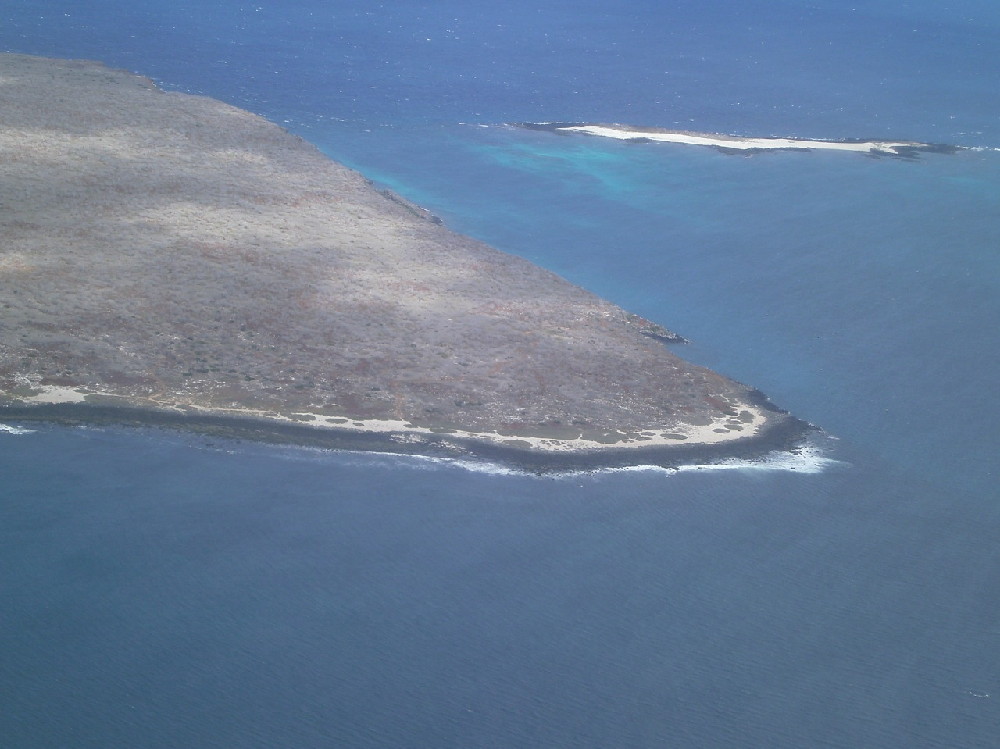 GALAPAGOS