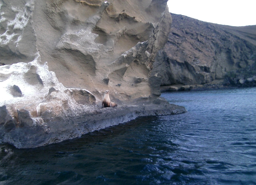 GALAPAGOS