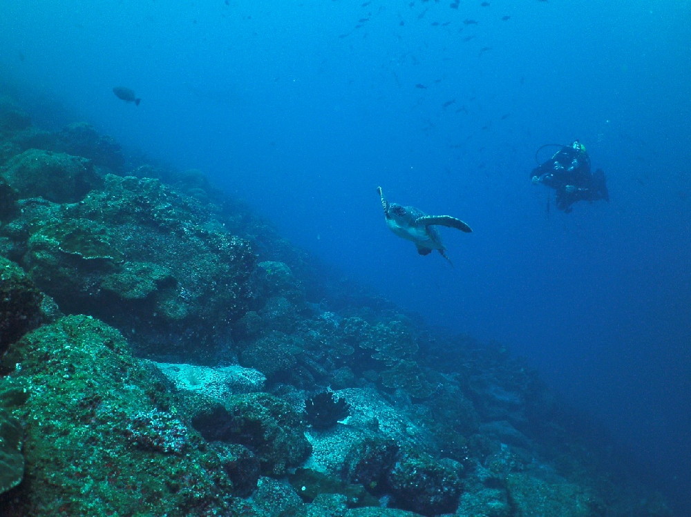 GALAPAGOS