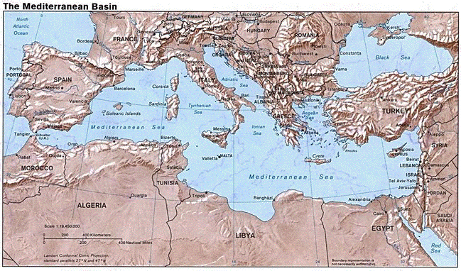 Topographic