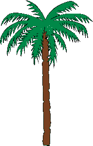 PALM