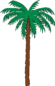 PALM