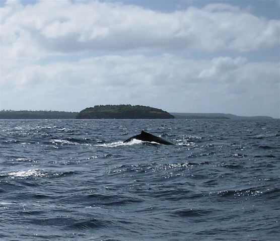 Tonga