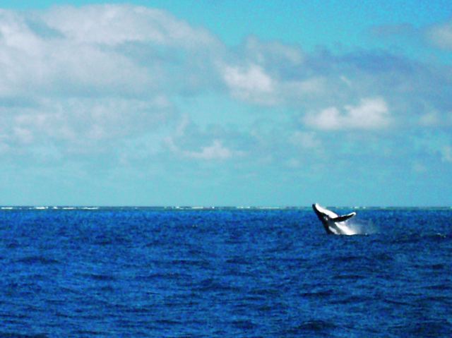 Tonga