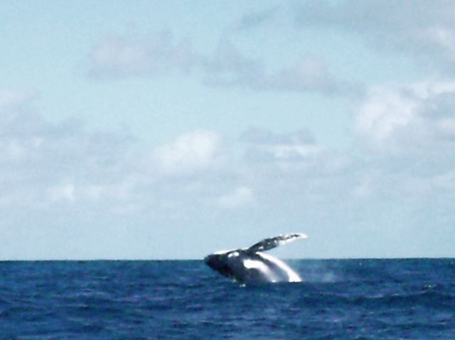 Tonga