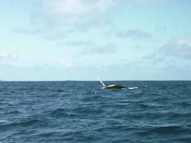 Tonga