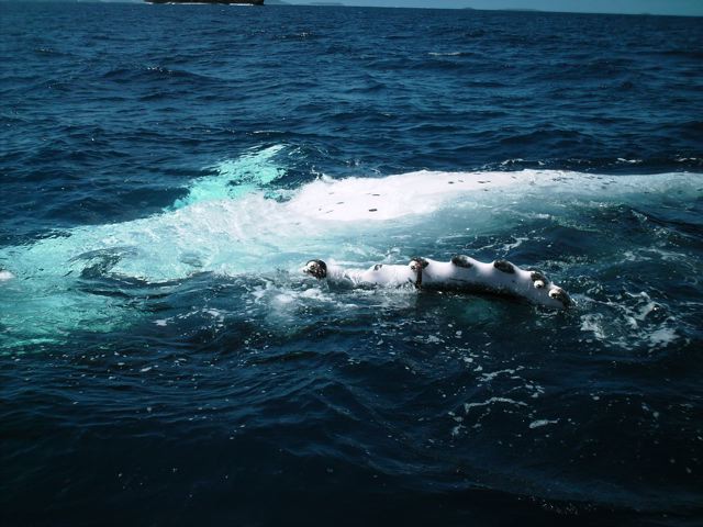 Tonga