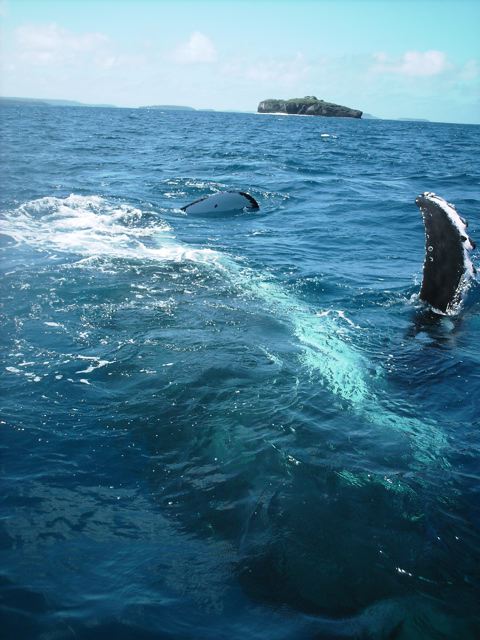 Tonga