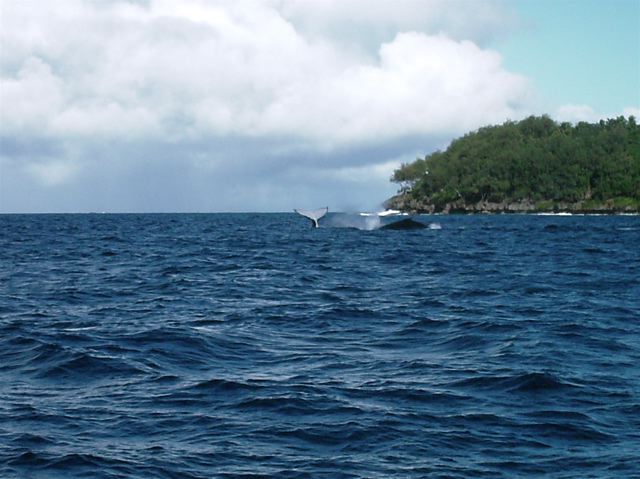 Tonga