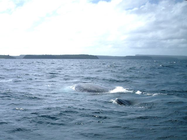 Tonga