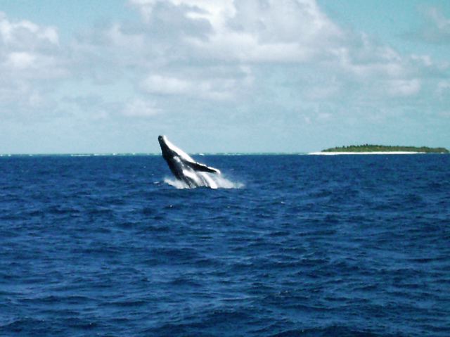 Tonga